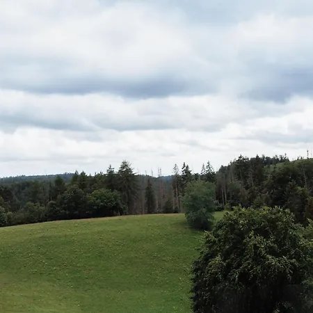 Tannenglueck Lodge, Mit Schwimmbad, Sauna Und Kostenloses W Lan